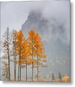 Standing In The Rain Metal Print