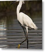 Standing Tall Metal Print