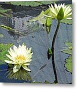 Standing Tall With Beauty Metal Print