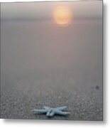 Star On The Beach Metal Print