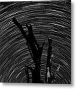 Star Trails Metal Print