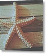 Starfish Deco Metal Print