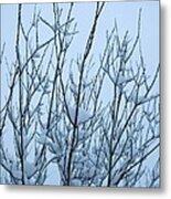 Stark Beauty - Snow On Branches Metal Print