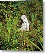 Statue In A Garden Metal Print