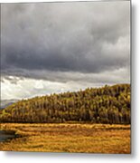 Steppe Before The Storm Metal Print