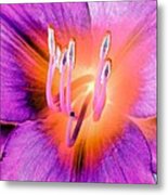 Stigma - Photopower 1073 Metal Print