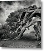 Still Alive Metal Print