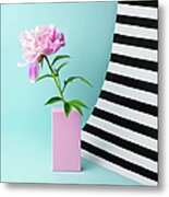 Still Life With Pink Peony And Striped Metal Print