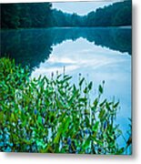 Stillness On Schreeder Pond Metal Print