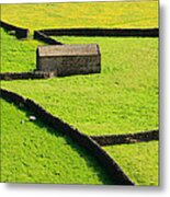 Stone Barn And Dry Stone Walls In Swaledale Yorkshire Dales Metal Print