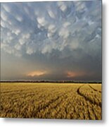 Storm Over Wheat Metal Print