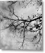 Stormy Morning In Black And White Metal Print