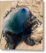 Stranded Blue Metal Print