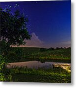 Strangers In The Night Metal Print