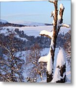 Winter In Strathavon Metal Print