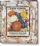 Straw Flowers On Vintage Tin Metal Print