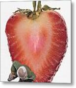 Strawberry Seat Metal Print