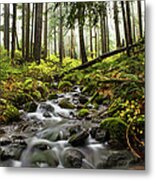 Stream Through The Forest Metal Print