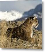 Strong Instinct Metal Print