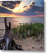 Stumps And Sunset On Oyster Bay Metal Print