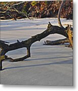 Stumps On The Beach 1.7 Metal Print