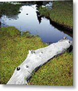 Summer Creek Metal Print