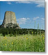 Summer Day At Devils Tower Metal Print