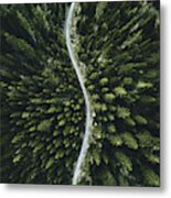 Summer Forest Aerial View In Switzerland Metal Print