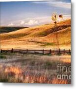 Summer Glow Metal Print