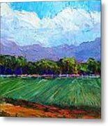 Summer In Albuquerque Metal Print