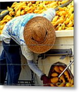 Summer Squash Metal Print