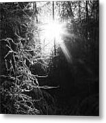 Sun And Frost Metal Print