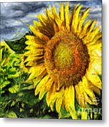 Sunflower Drawing Metal Print