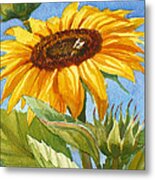 Sunflower And Honey Bee Metal Print