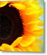 Sunflower Metal Print