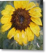 Sunflower Fun Metal Print