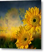 Sunflower Garden Metal Print