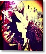 Sunflower Metal Print