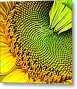 Kaleidescope Sunflower Metal Print