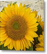 Sunflower Letters Metal Print