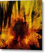 Sunflower Metal Print