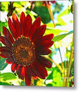Sunflower - Red Blazer - Luther Fine  Art Metal Print