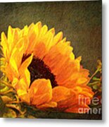 Sunflower - You Are My Sunshine Metal Print