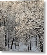 Sunkissed Snow Covered Trees In Iowa Metal Print