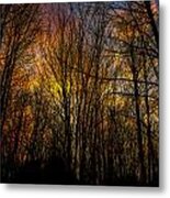 Sunlit Clouds Through A Leafless Forest Metal Print