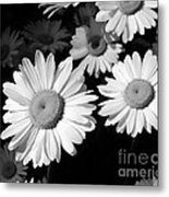 Sunning Metal Print