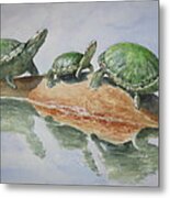 Sunning Turtles Metal Print