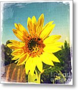 Sunny Day Sunflower Metal Print