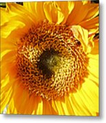 Sunny Flower Parts 2 Metal Print