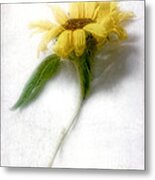 Sunny Sunflower #3 Metal Print